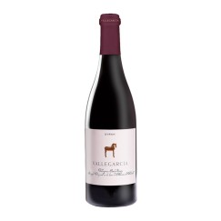 Vallegarcía Syrah