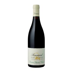 Domaine Chantal Lescure Pommard 1er Cru Les Bertins 2013