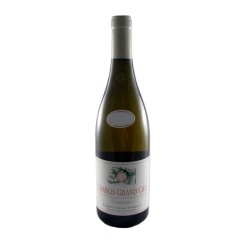 Gérard Tremblay Chablis Grand Cru Vaudesir 2021 | Tanino Wines