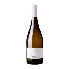 Barbazul Blanco 2020|Tanino Wines