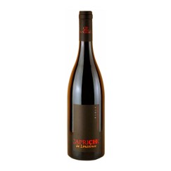 Capricho de Landaluce 2005, D.O.Ca. Rioja | Tanino Wines