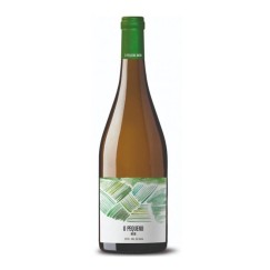 Viña Mein O Pequeno Mein Blanco 2020 Magnum. Ribeiro | Dipesa Wines