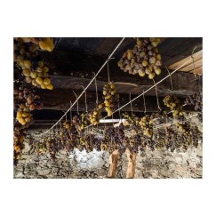 O Luar do Sil Tostado de Seadur 2021. Vino dulce Valdeorras| Tanino Wines