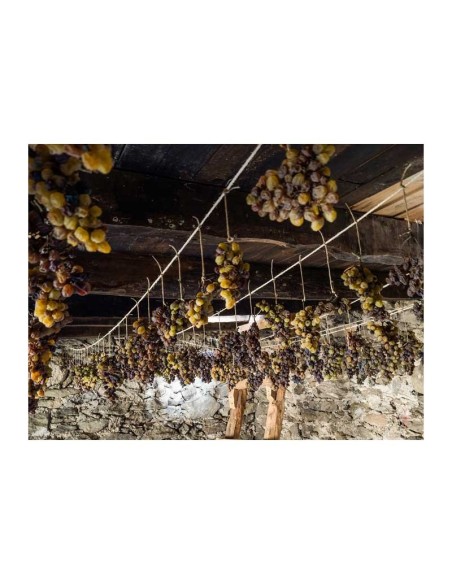 O Luar do Sil Tostado de Seadur 2021. Vino dulce Valdeorras| Tanino Wines