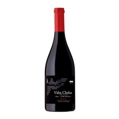 Viña Chelus de Amaren
