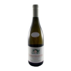 Gérard Tremblay Chablis Grand Cru Vaudesir 2007 | Tanino Wines