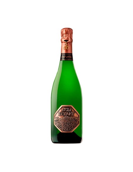 Llopart Ex Vite Brut 2012 |Tanino Wines