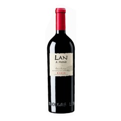 LAN a Mano Magnum