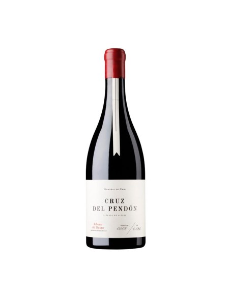 Cruz del Pendón 2018 with wooden case | Tanino Wines