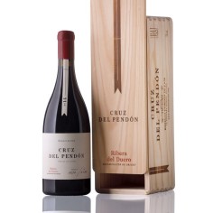 Cruz del Pendón 2018 with wooden case | Tanino Wines