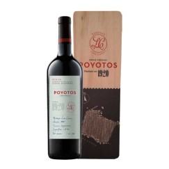 Luis Cañas Poyotos in wooden box