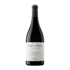 Amador Medrano Colección Privada 2012