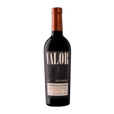 Valor de Olivares 1996. Sweet wine D.O. Jumilla | Tanino Wines