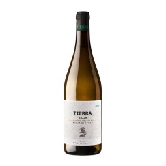 Tierra Blanco Fermentado en Barrica