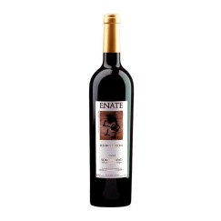 Enate Reserva Especial Tapies