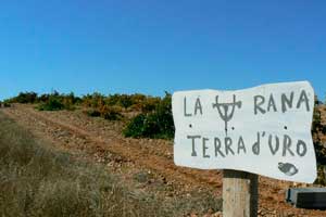 Finca La Rana en Hacienda Terra d'Uro