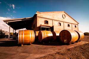 Bodegas Altos las Hormigas