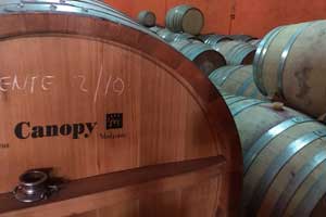 Barricas en Bodegas Canopy