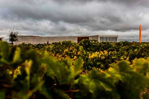 Bodegas Belondrade