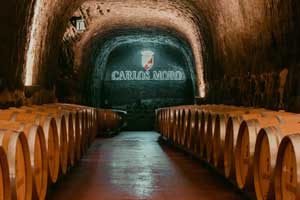 Calados en Bodegas y Viñedos Carlos Moro