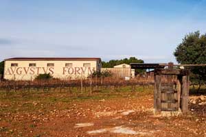 Celler Austus Forum en la zona del Penedés