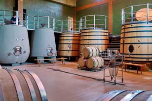 Sala de elaboración en Bodegas Amaren