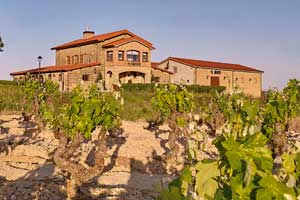 Vista del viñedo y el edificio de las Bodegas Amaren en La Rioja Alavesa