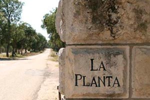 Finca La Planta en Arzuaga Navarro