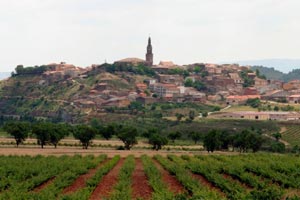 Panorámica Finca Allende