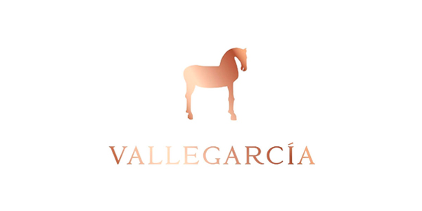 Logo Bodega Vallegarcía