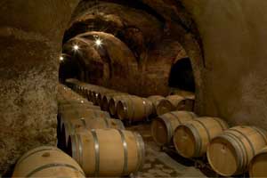 Calados con barricas en bodegas Artadi