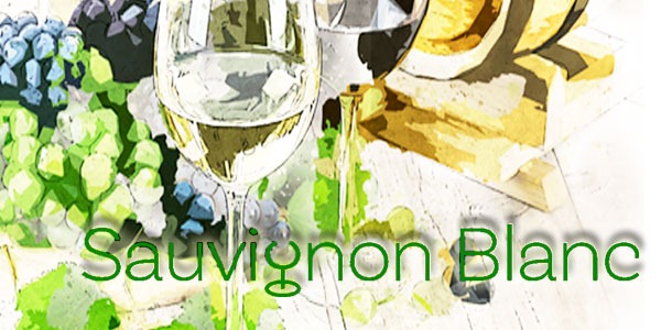 Sauvignon Blanc