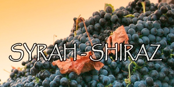 Desde la Syrah del Ródano a la Shiraz de Nuevo Mundo